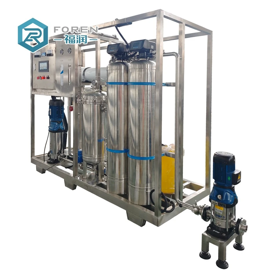 1000 lph ro plant