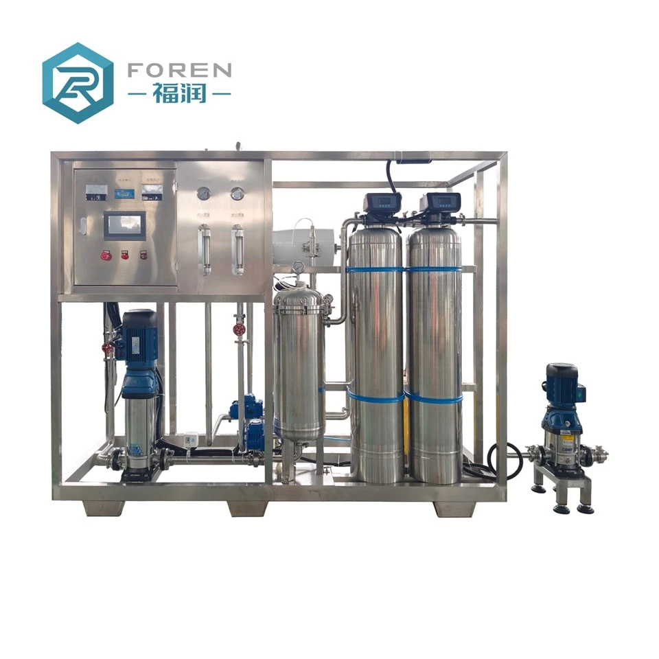 1000 lph ro system